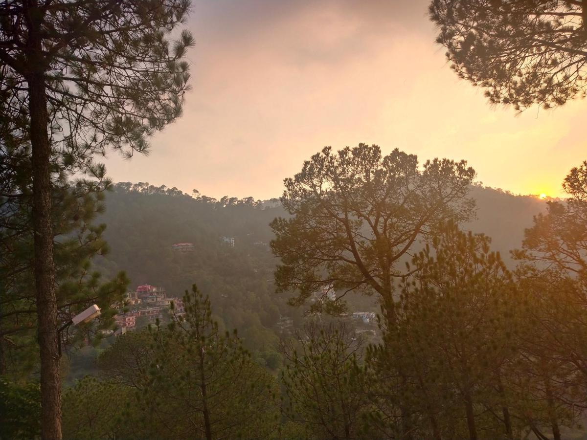 Pine Villa Касаули Экстерьер фото